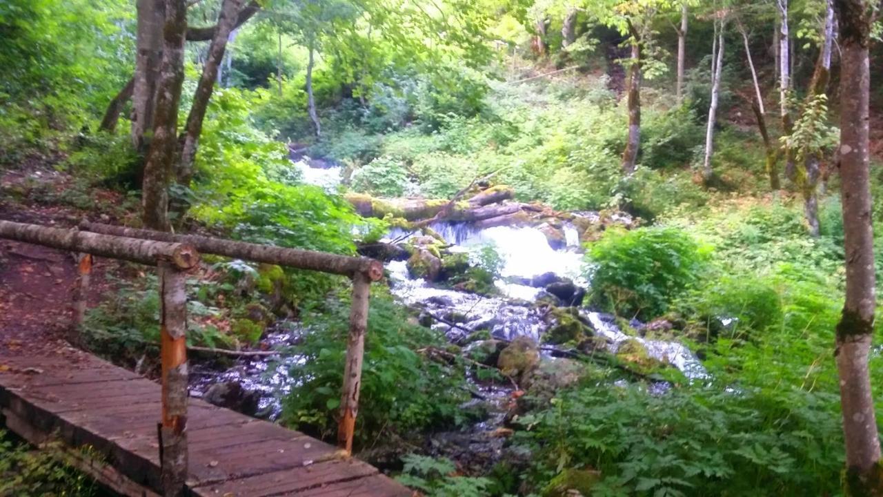 Hotel Ravnjak Dobrilovina Εξωτερικό φωτογραφία